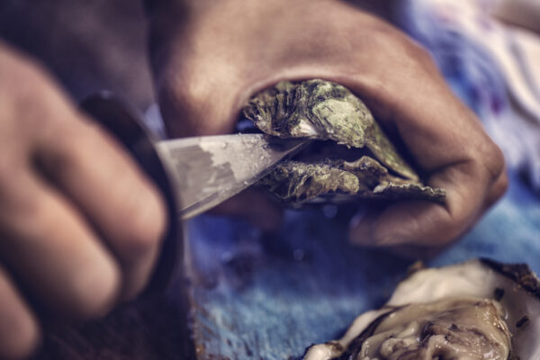 Oysters & Wine Tasting