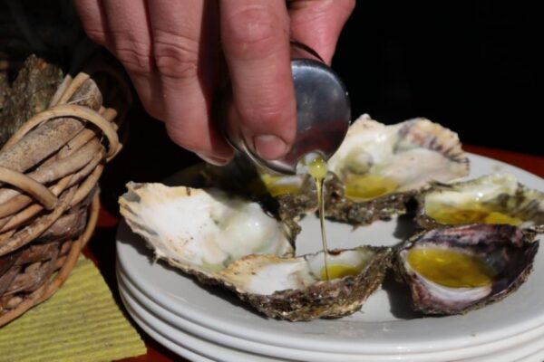 Oysters & Wine Tasting - Image 4