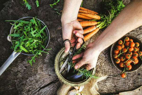 Private Organic Culinary Lesson