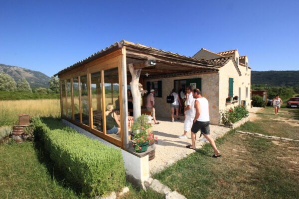 Malvasia & Local Delights Wine Tour - Image 6