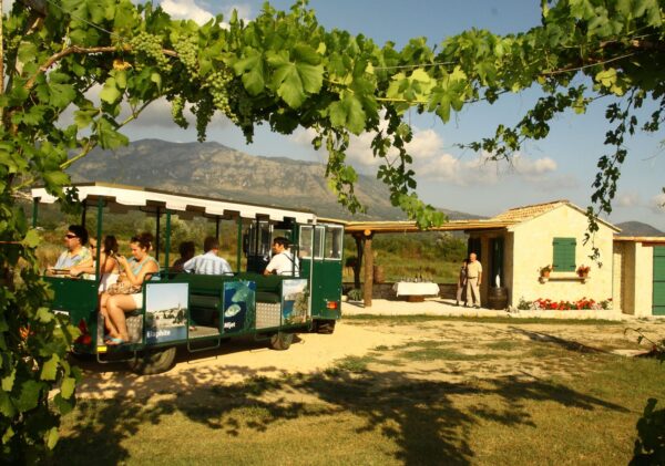 Malvasia & Local Delights Wine Tour - Image 5